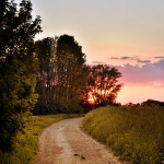 Sonnenuntergang bei der Leitha in Nickelsdorf