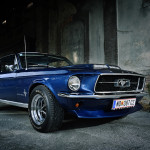 Mustang-BlackCrow-4-web